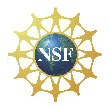 color NSF logo